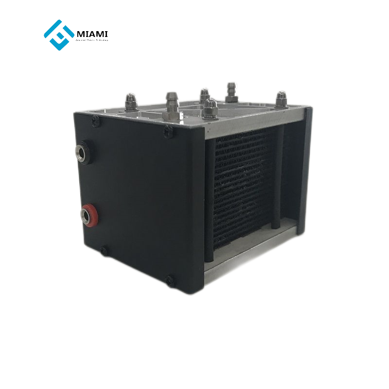 VET পিলা দে দাহ্য পেম ফুয়েল সেল 12v